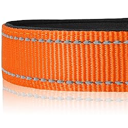 Joytale Dog Collar,Soft Neoprene Padded Breathable