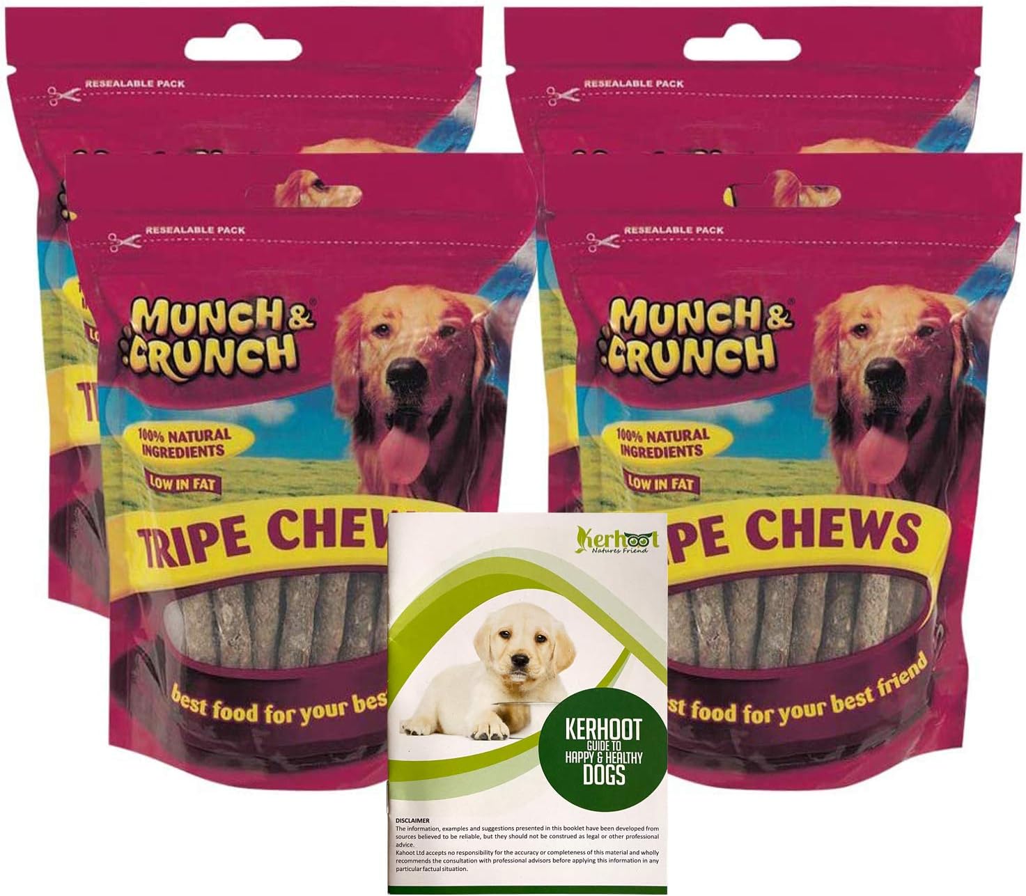 recommended cage size for 2 guinea pigs