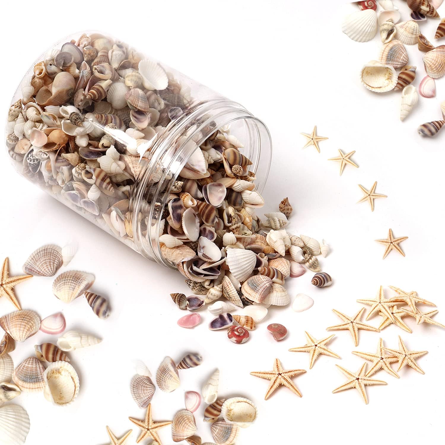Vase Fillers - HAPY SHOP 1200 Pieces Tiny Sea Shells Small Natural Starfish Mixed Ocean Beach Spiral Seashells for Home Decorations,Wedding Decor,Candle Making,Beach Theme Party,DIY Crafts and Vase Filler