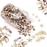 HAPY SHOP 1200 Pieces Tiny Sea Shells Small Natural