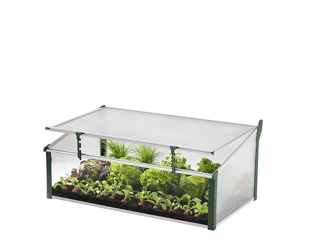 JUWEL Frühbeet Easy Fix 100/60 (rasch aufgebaut, UV-beständige Hohlkammerplatten, 100 x 60 x 40 cm), transparent