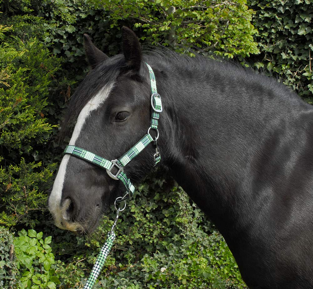 Rhinegold Unisex's Carnival Headcollar & Rope, Green Check, Extra Full