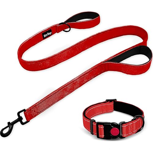 Heavy Duty Double-Sided Reflective Dog Leash - Padded Handle Nylon Reinforced Buckle Collar, Red, Large, 6FT