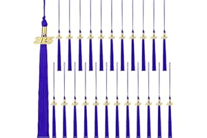 Fingertip WD 24 Pieces 2025 Graduation Tassel, Graduation Cap Tassels Decoration with 2025 Year Gold Date Charms, Graduation Gifts for 2025 Year Graduation Ceremonies Souvenir, Blue