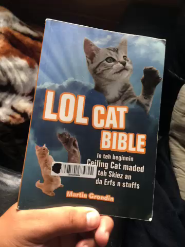 Amazon Com Customer Reviews Lolcat Bible In Teh Beginnin