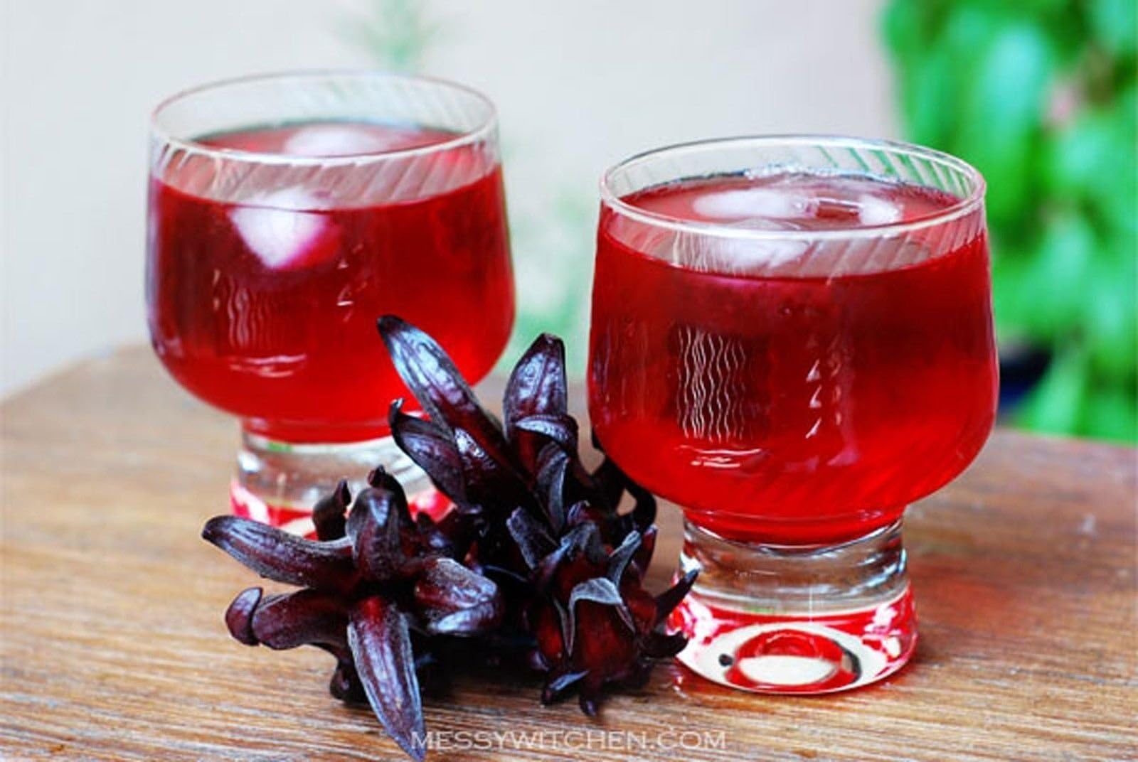 ROSELLE HIBISCUS Sabdariffa Rosella Fruit Flower Seeds