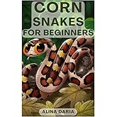 Corn Snakes for Beginners