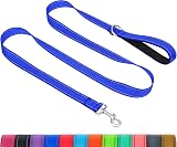 Taglory Dog Leash 2.5 cm Wide 120 cm Navy Reflective Padded Handle