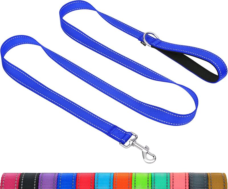 Taglory Dog Lead Reflective Double Sided Navy 2 cm x 120 cm Neon Safety