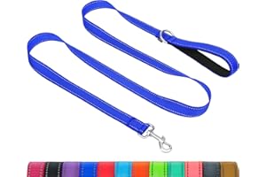 Taglory Dog Leash for Medium Large Dogs | Double-Sided Reflective | Soft Neoprene Padded Handle | 1 inch by 6 ft | Fit Medium Large Breeds Dogs 20-150 lbs | Navy Blue