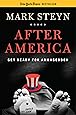 After America: Get Ready for Armageddon