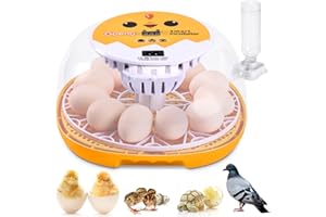 Gpeng Egg Incubator, 12 Eggs Incubator with Auto Egg-turning, Auto Temperature Control, for Hatching Chicken Goose Pigeon Quail Duck