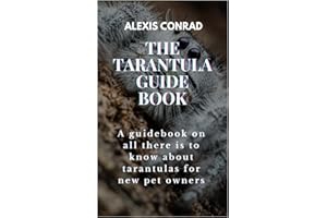 THE TARANTULA GUIDE BOOK: A guidebook on all there is to know about tarantulas for new pet owners