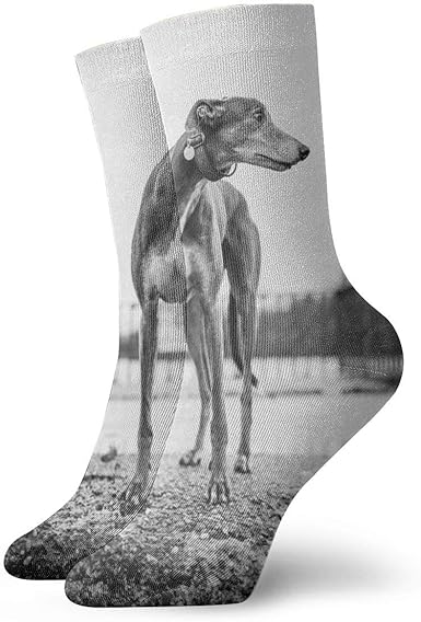 greyhound dress