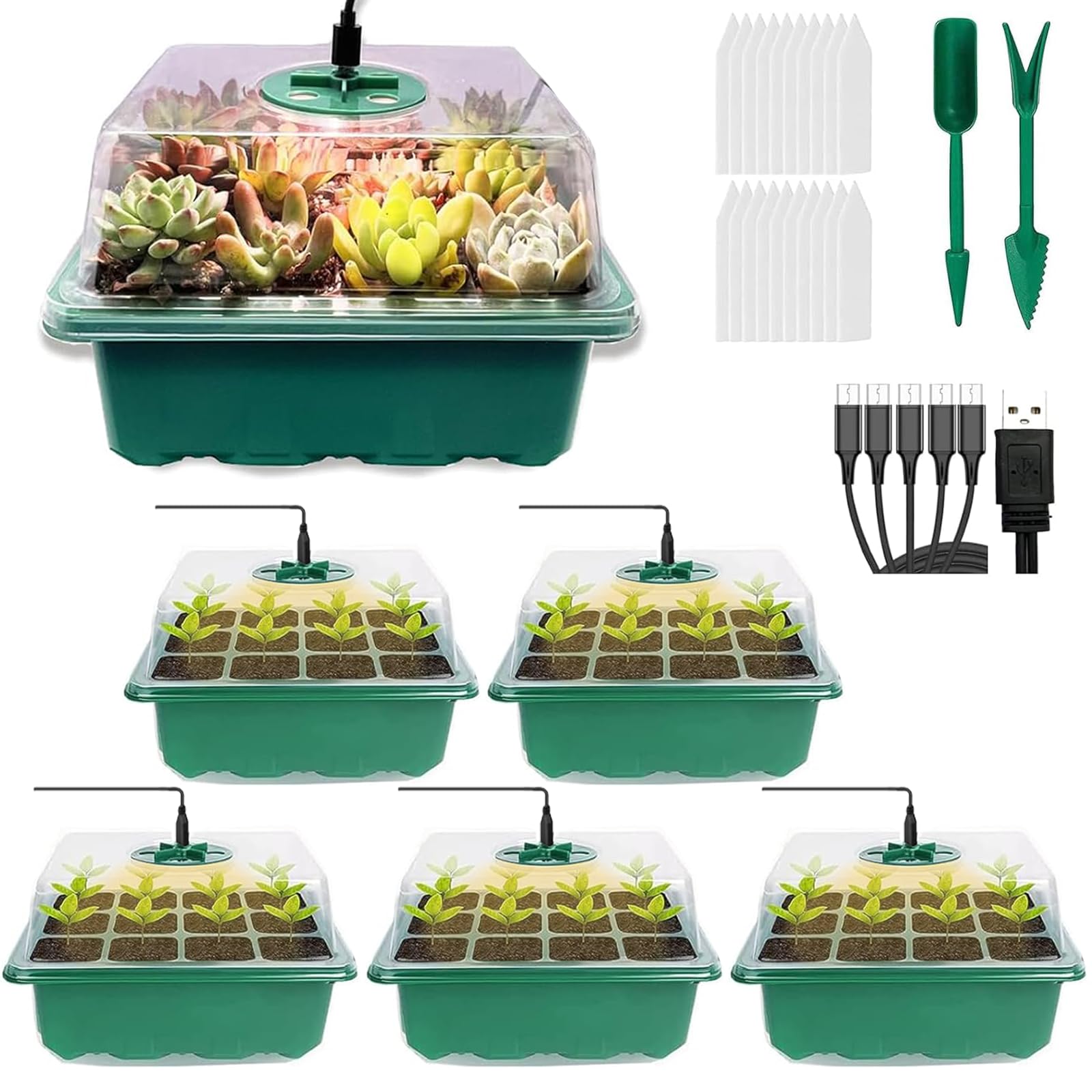 VDYXEW 5 Pack Propagator with Lights, Seed Trays, Seed trays with lids, Mini Greenhouse Propagator kit for Germination Growing