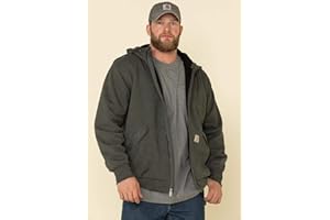 Carhartt mens Rain Defender Loose Fit Midweight Thermal-lined Full-zip Sweatshirt