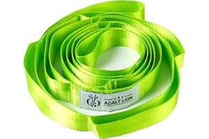 ADALT LION Stretching Strap with 10 Loops, Yoga Straps for Stretching Physical Therapy Equipment, Non-elastic Stretch Strap for Exercise, Pilates, Dance, Gymnastics and Flexibility - Fascia