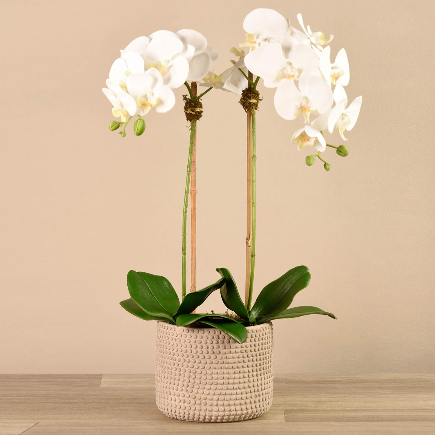 Amazon Com Bloomr Artificial Tan Texture Potted White Orchid Arrangement Trendy Luxury Silk Fabric Decorative Indoor Faux Orchid Arrangement 27 Tall 2 4 Lbs Vase 5 71 Home Kitchen