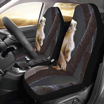 monkey car seat and stroller set