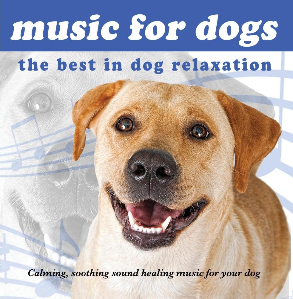dog calming music cd