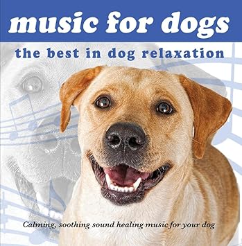 music to calm my dog