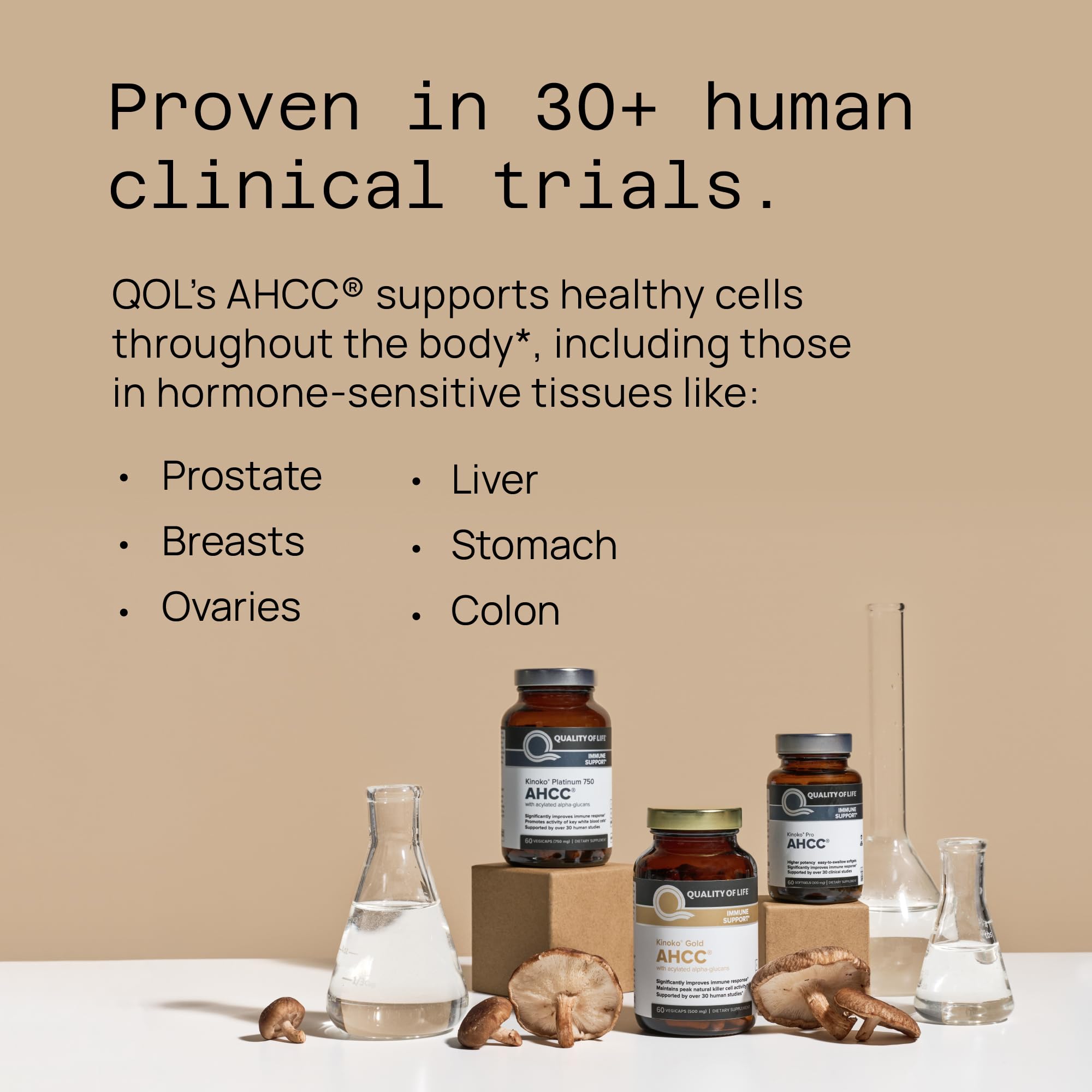 Premium AHCC Immune Support Supplement - Most Bioavaliable AHCC - Natural Mushroom Extract - Quality of Life AHCC Kinoko Rx