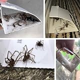 CritterKill Spider Trap 30 Pack - Child & Pet Safe, Eco Friendly Glue view 6
