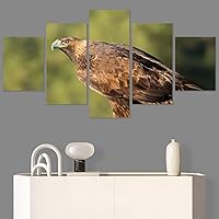 SIGNWIN 5 Panel Canvas Wall Art Modern Art Birds Bohemian Expressive Multicolor Photography Single for Home Decorations Ready to Hang - 60