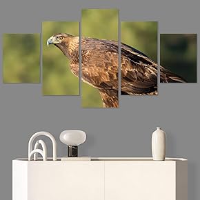 SIGNWIN 5 Panel Canvas Wall Art Modern Art...