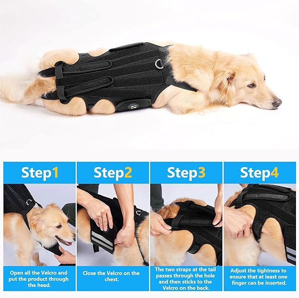 COODEO DOG BACK BRACE FOR DOGS ARTHRITIS, PET BACK BRACER FOR IVDD, BACK PROTECTOR HELPS PAIN RELIEF, SURGICAL RECOVERY AND REHABILITATION, DOGS BACK DISEASE PREVENTION. (BLACK,X-LARGE)