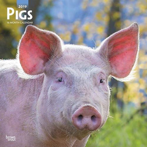 Download Pigs 2019 Calendar PDF