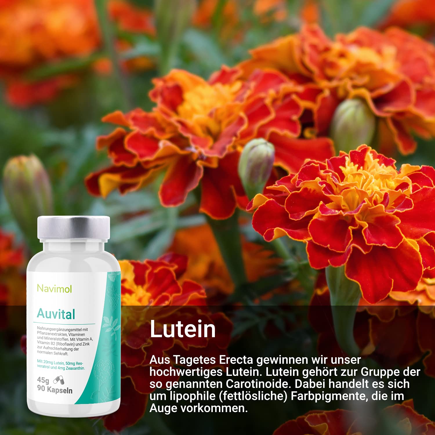 Auvital - 90 Kapseln | Nahrungsergänzungsmittel: Mit Vitamin A, Vitamin B2 (Riboflavin) & Zink zur Aufrechterhaltung der normalen Sehkraft | 20mg Lutein | 50 mg Resveratrol | 4mg Zeaxanthin