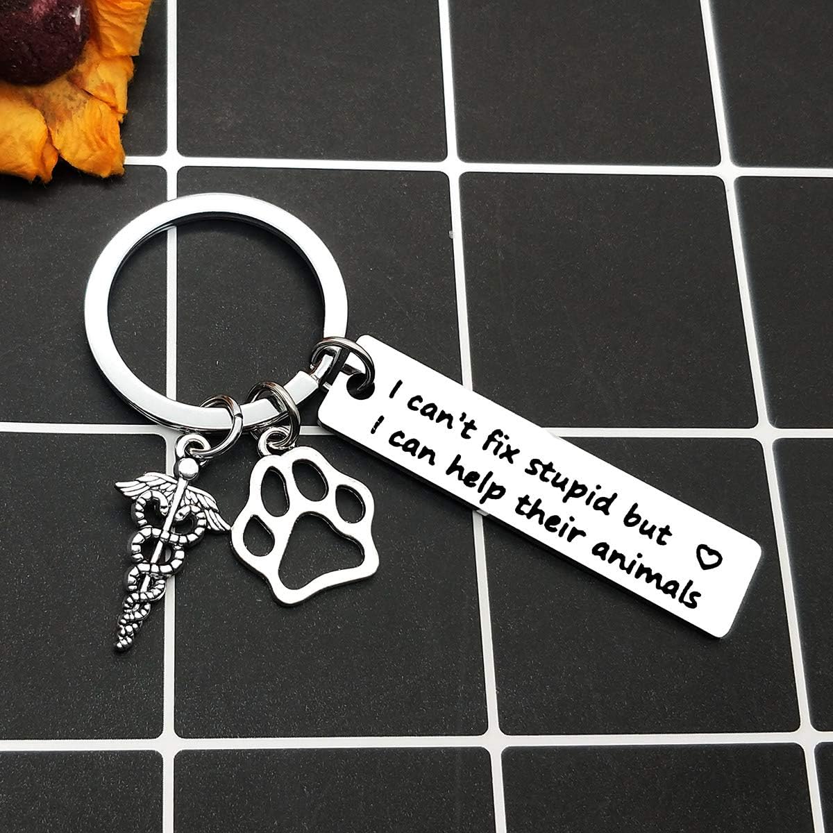 Veterinarian Keyring Birthday Gifts for Veterinarian Vet Tech Appreciation Keyring Gifts I Can Help Their Animals Keychain Veterinary Technician Gifts Veterinarian Medicine Graduation Gift - Image 5