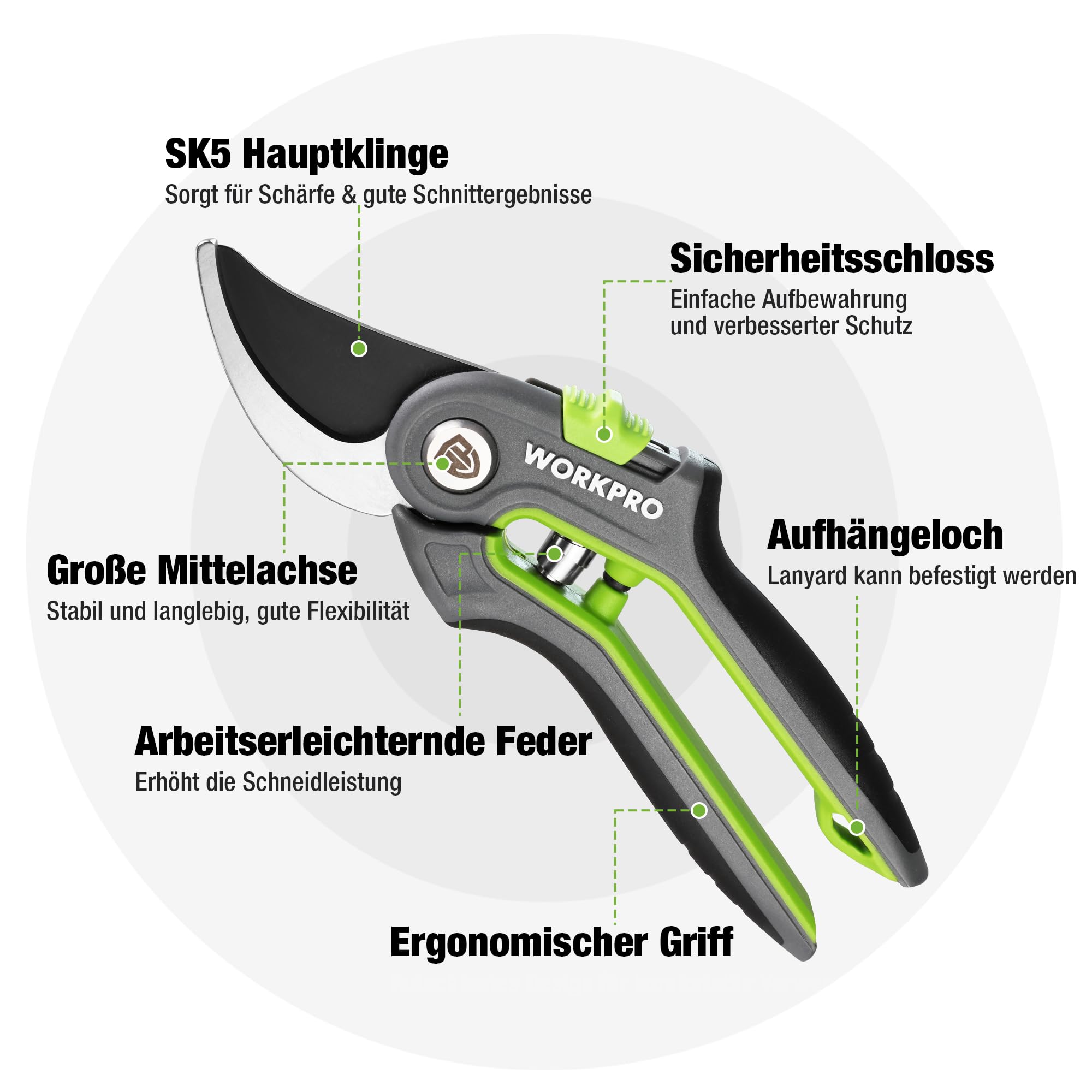 WORKPRO Gartenschere Set 2-tlg, 210mm SK5 Bypass Astschere für frische Zweige, 160mm Ernteschere Pflückschere für Blume und Frucht, Pflanzenschere Baumschere Rosenschere Blumenschere für Gartenarbeit 2