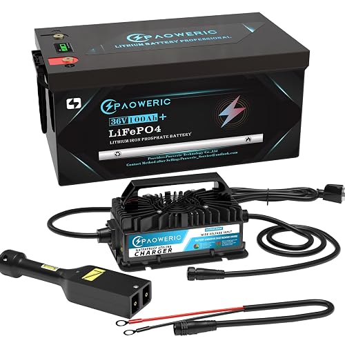 Paoweric 48V 100Ah LiFePO4 Battery,Rechargeable Lithium Battery with ...