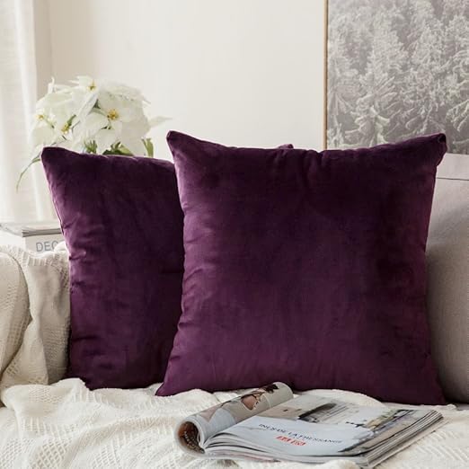 Amazon Com Miulee Pack Of 2 Velvet Soft Soild Decorative Square