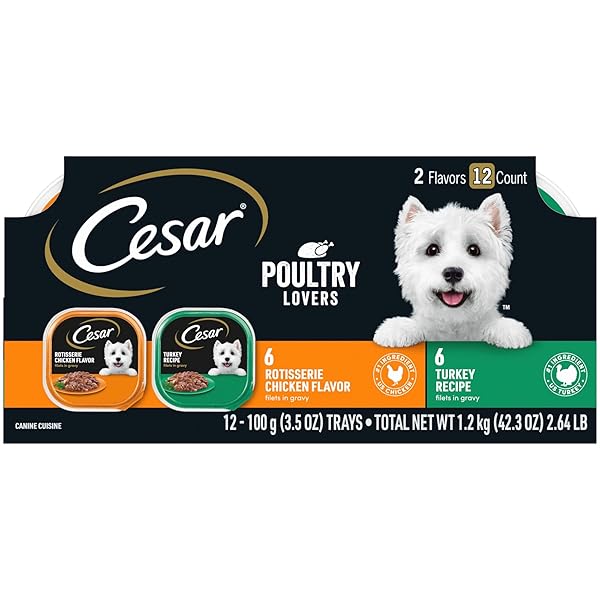 CESAR FILETS IN GRAVY POULTRY LOVERS VARIETY PACK WET DOG FOOD, 3.5 OZ., COUNT OF 12