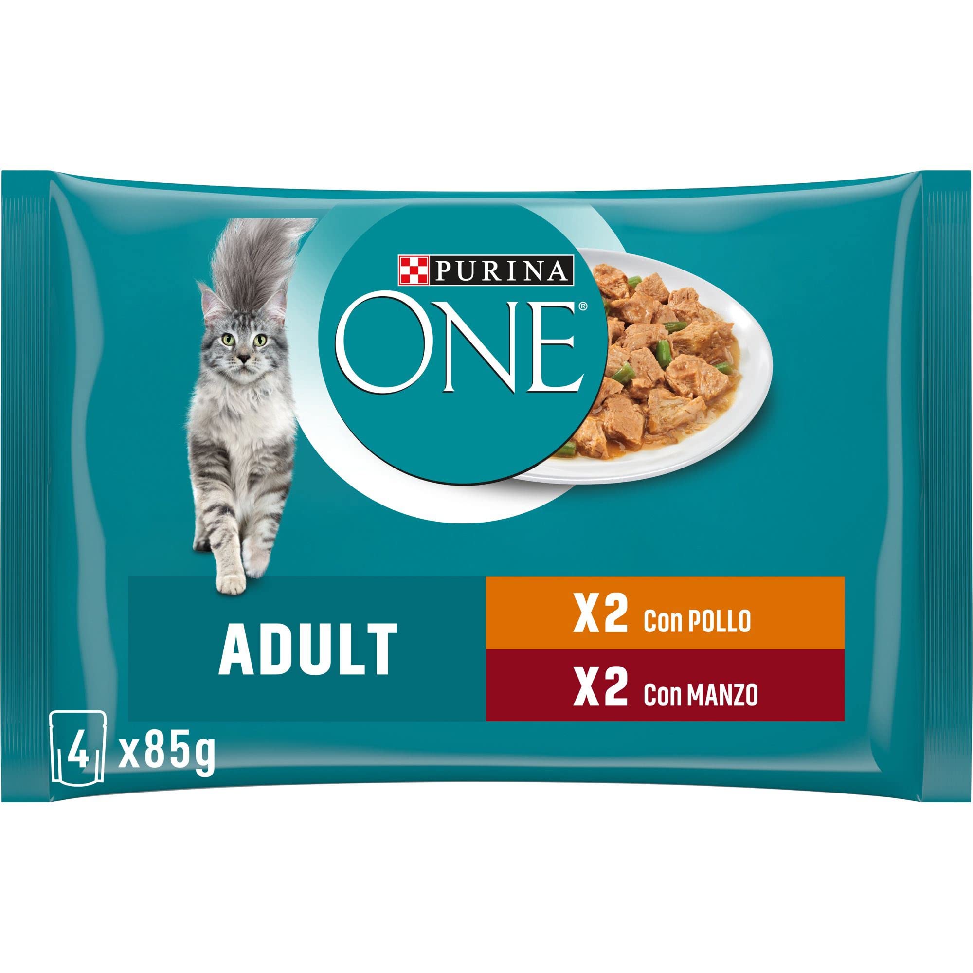 Purina One filettini in Salsa For The Cat, Adult, with Chicken and Bean, with Beef and Carrots, 4 X 85 G – Pack of 12