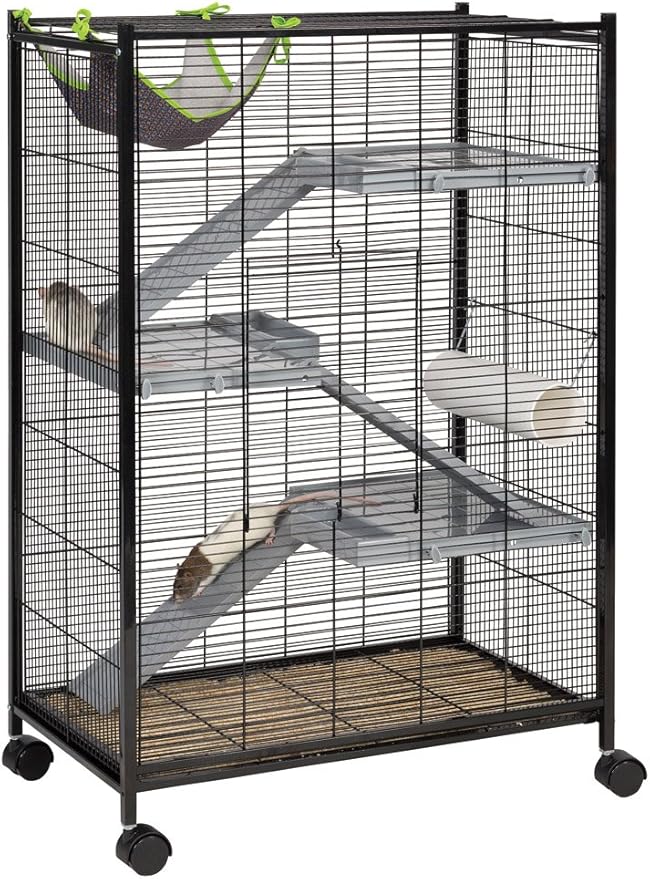 cheap rodent cages