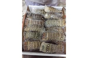 GIOVANNIS FISH MARKET 4 SPINY Lobster Tail