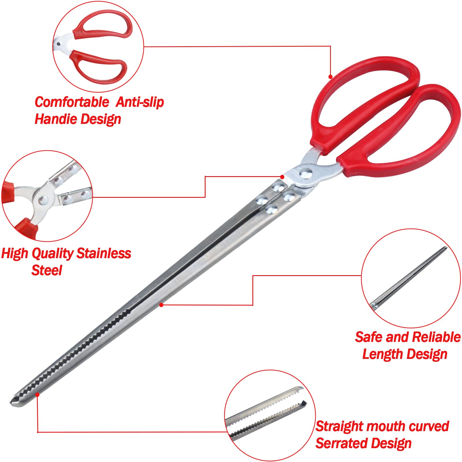 Long Stainless Steel Straight And Curved Nippers Tweezers Reptile Feeding Tongs For Reptile Snakes Lizards Spider