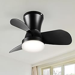 SUNMORY Ceiling Fans with Lights and Remote, 22