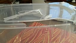 CONTENITORE IN PLASTICA DA 300 LT CON RUOTE