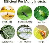 SHATCHI 90 Pcs Fruit Fly Traps Double Sided Sticky Fly Catcher Yellow view 5