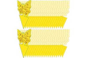 DWCOM TRAP 40 Pack Fungus Gnat Traps for House Indoor, Fungus Traps Fruit Fly Traps for Indoors Gnats Sticky Traps for Plants Yellow Sticky Traps for Gnats