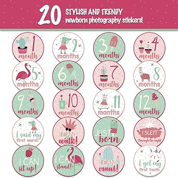 Amazoncom Baby Monthly Stickers Set Of 20 Baby Milestone