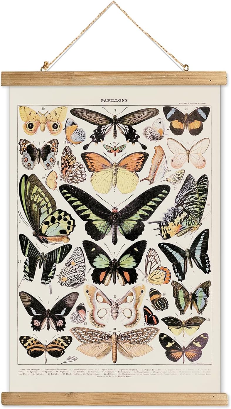 Wall Décor - XIAOAIKA Vintage Butterfly Poster Hanger Frame, Cottagecore Room Decor Aesthetic, Retro Style Wall Decor Art Painting, Patterns are Printed on Linen Without Fading (16 x 23 inches)
