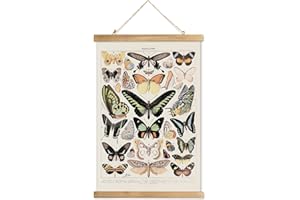 XIAOAIKA Vintage Butterfly Poster Hanger Frame, Cottagecore Room Decor Aesthetic, Retro Style Wall Decor Art Painting, Patterns are Printed on Linen Without Fading (16 x 23 inches)