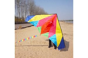 Besra Rainbow Delta Kite Single Line Kite with Long Tail for Kids and Adults Outdoor Fun Sports for Beach & Park