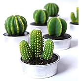 COCOMOON Cactus Tea Light Candles, 6 Pcs Decorative Candles with Artificial Succulents, Unscented, 30 min Burn Time, Modern Design, Perfect for Home Decor, Party, Wedding